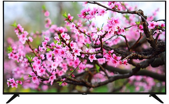 Smart Tivi TCL 4K 50 inch L50P65-UF