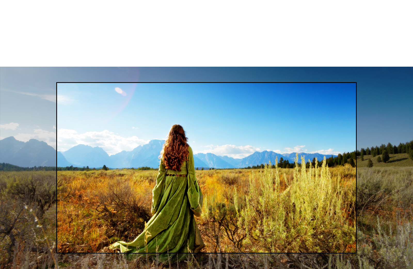 Tivi LG WebOS 4k UHD 43 inch 43UN7350PTD