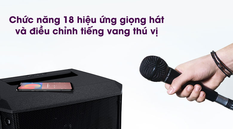 Loa Karaoke LG RM1