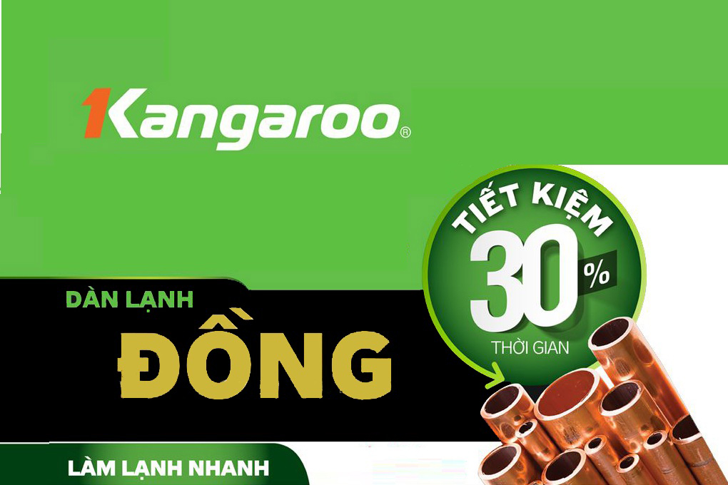 Tủ đông kháng khuẩn Kangaroo KG809C1