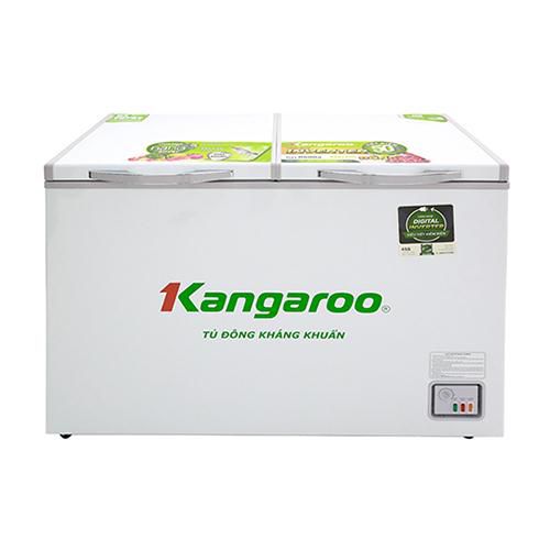 Tủ đông kháng khuẩn Kangaroo KG400IC2