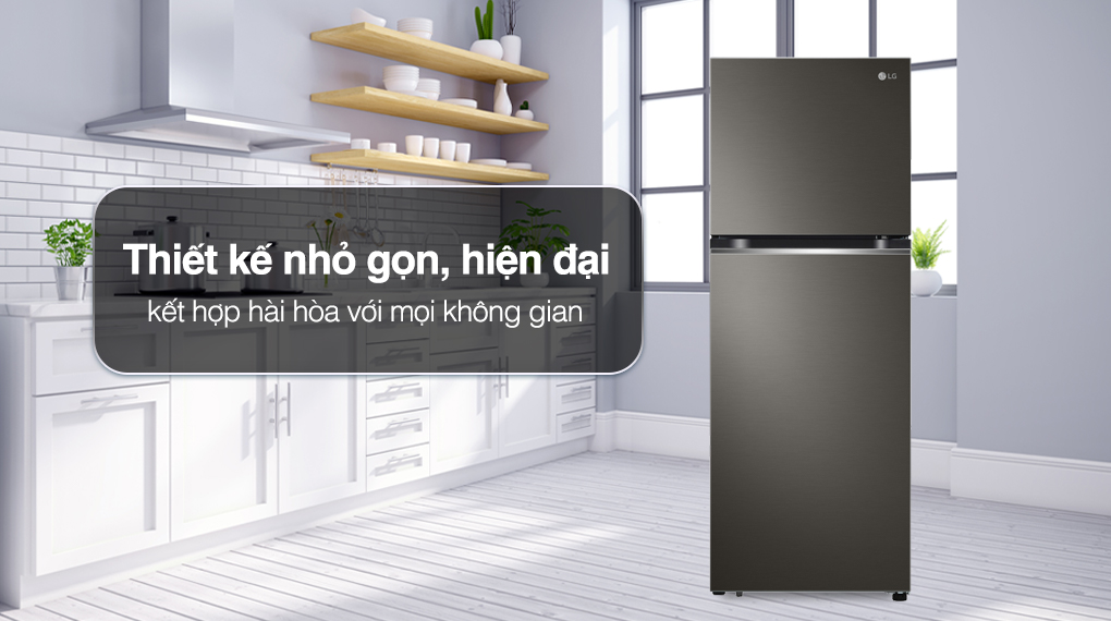 Tủ Lạnh LG Inverter 2 Cánh 243 Lít GV-B242BL
