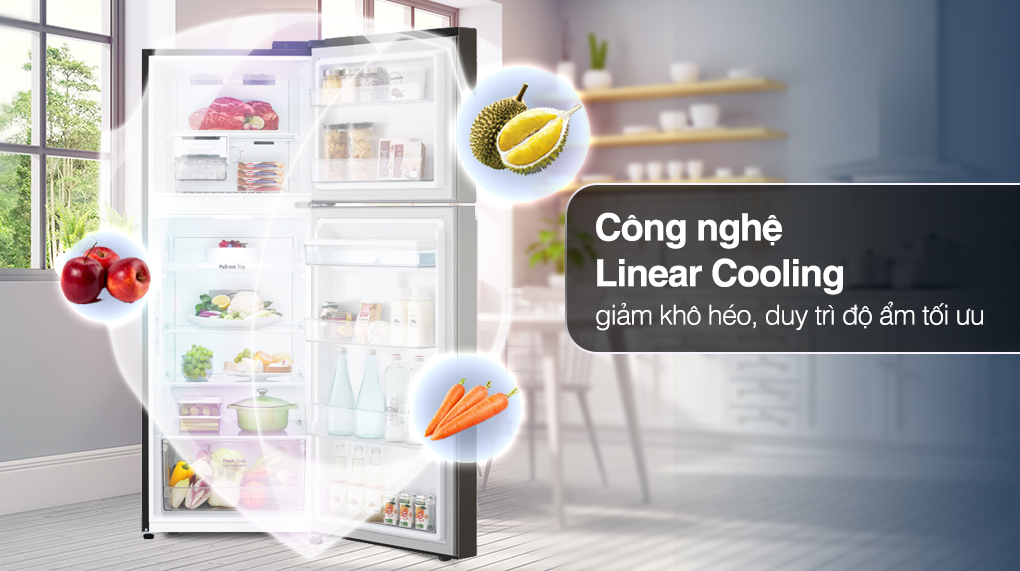 Tủ Lạnh LG Inverter 2 Cánh 243 Lít GV-B242BL