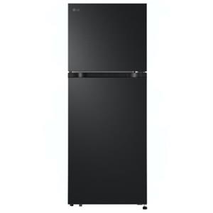 Tủ lạnh LG Inverter 217 lít LTB21BLMI